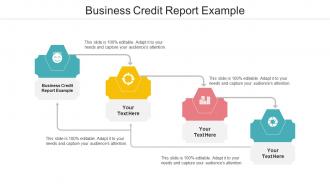 Business Credit Report Example Ppt Powerpoint Presentation Ideas Slide Download Cpb