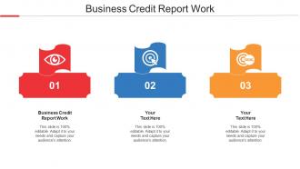 Business Credit Report Work Ppt Powerpoint Presentation Slides Show Cpb