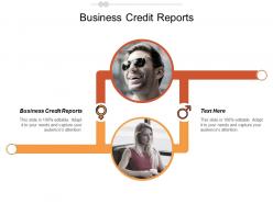 Business credit reports ppt powerpoint presentation gallery design templates cpb