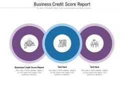 Business credit score report ppt powerpoint presentation model graphic tips cpb