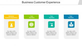 Business Customer Experience Ppt Powerpoint Presentation Ideas Skills Cpb
