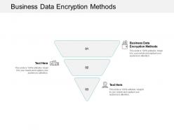 Business data encryption methods ppt powerpoint presentation icon cpb