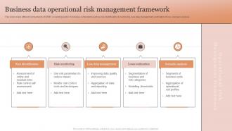 Business Data Operational Risk Management Framework