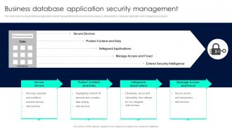 Business Database Application Security Management