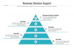 Business decision support ppt powerpoint presentation inspiration cpb