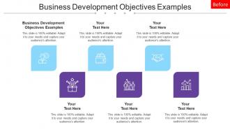 Business Development Objectives Examples Ppt Powerpoint Presentation Ideas Cpb