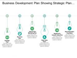 Business development plan showing strategic plan and state sale plan