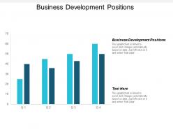 Business development positions ppt powerpoint presentation file professional cpb