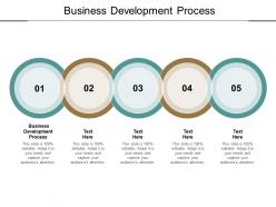 Business development process ppt powerpoint presentation visual aids example file cpb