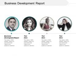 Business development report ppt powerpoint presentation portfolio samples cpb