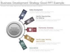 Business development strategy good ppt example