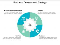 Business development strategy ppt powerpoint presentation file slide cpb