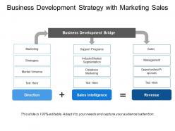 Business development strategy with marketing sales