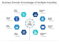 Business domain knowledge of multiple industries