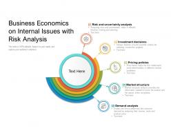 Business economics on internal issues with risk analysis