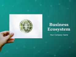 Business Ecosystem Powerpoint Presentation Slides