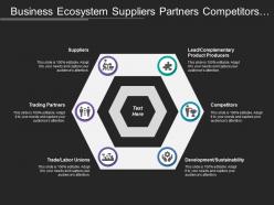 Business Ecosystem Suppliers Partners Competitors Producers Sustainability