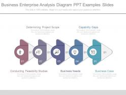 Business enterprise analysis diagram ppt examples slides
