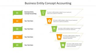 Business entity concept accounting ppt powerpoint presentation pictures guide cpb