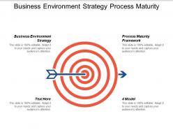 Business environment strategy process maturity framework 4 model cpb