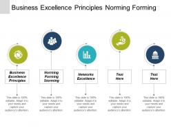 business_excellence_principles_norming_forming_storming_networks_excellence_cpb_Slide01