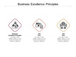 Business excellence principles ppt powerpoint presentation styles cpb