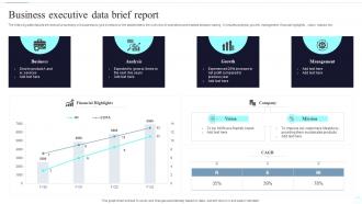Business Executive Data Brief Report