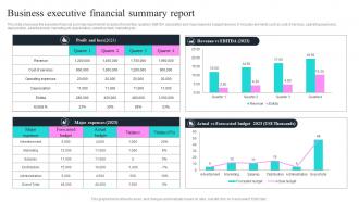 Business Executive Financial Summary Report