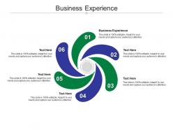 Business experience ppt powerpoint presentation outline format ideas cpb
