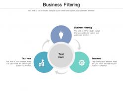 Business filtering ppt powerpoint presentation icon visual aids cpb
