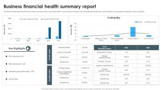 Business Financial Health Summary Report