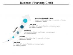 Business financing credit ppt powerpoint presentation gallery styles cpb
