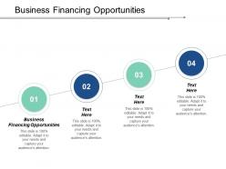 Business financing opportunities ppt powerpoint presentation gallery good cpb