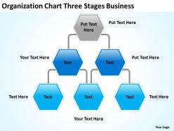 Business flow chart organization three stages powerpoint templates