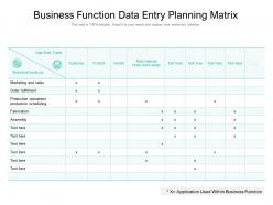Business function data entity planning matrix