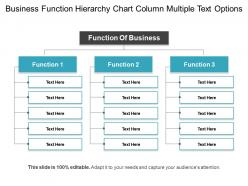 Business function hierarchy chart column multiple text options