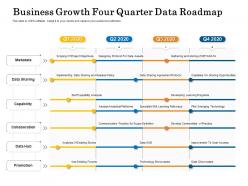 Business Growth Four Quarter Data Roadmap