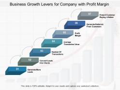 Business Growth Levers For Company With Profit Margin