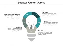 Business growth options ppt powerpoint presentation outline display cpb