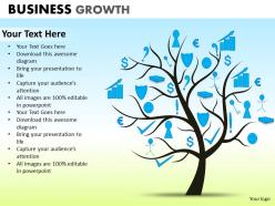 Business growth ppt 33