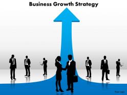 Business growth strategy
