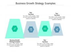 Business growth strategy examples ppt powerpoint presentation professional skills cpb