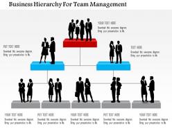 Business hierarchy for team management powerpoint templates