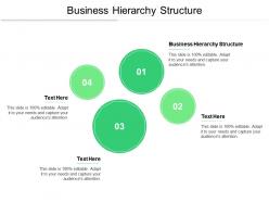 Business hierarchy structure ppt powerpoint presentation styles elements cpb
