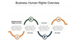 Business human rights overview ppt powerpoint presentation portrait cpb