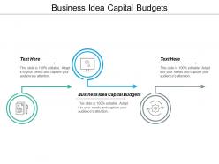 Business idea capital budgets ppt powerpoint presentation model format ideas cpb