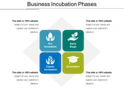 Business incubation phases