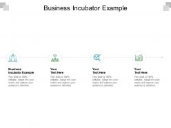 Business incubator example ppt powerpoint presentation infographics demonstration cpb