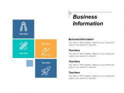 Business information ppt powerpoint presentation file vector cpb