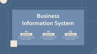 Business Information System Ppt Powerpoint Presentation File Aids